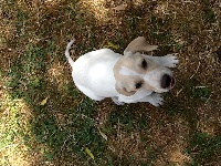 ISKA